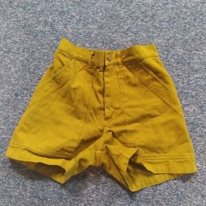 Big Bud Press Work Shorts Olive